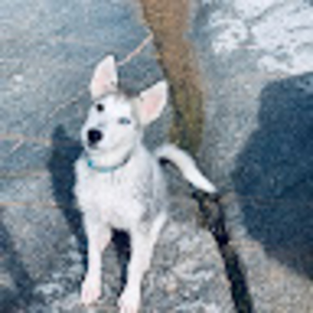 Meet your Posher, Lexa